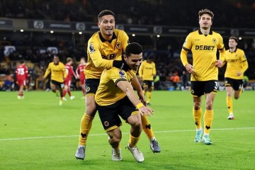 中国华体会官网-英超中资队酿奇迹？绝平阿森纳+绝杀利物浦！4轮抢7分 或逆袭保级|狼队|阿斯顿维拉|西汉姆联|埃梅里|主场_新浪体育_新浪新闻